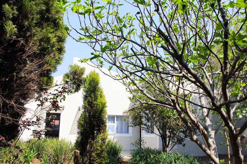 La Coscello Guest House Edenvale Exteriér fotografie